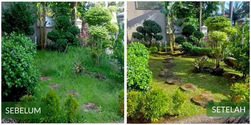 Before After #1