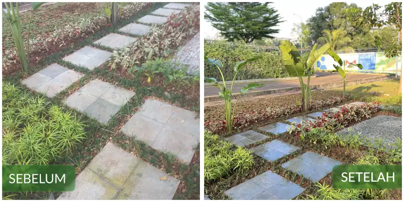 Before After #4