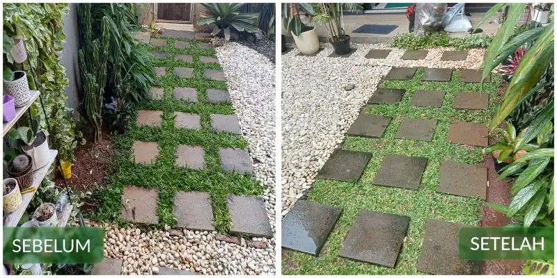 Before After #5