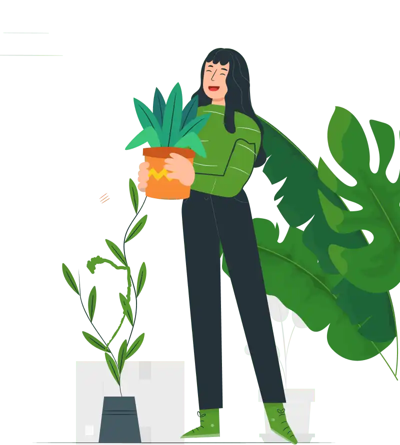 Bring Plant
